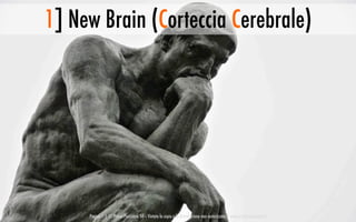 1] New Brain (Corteccia Cerebrale)
Pagina 7 | © Prima Posizione Srl – Vietata la copia e la distribuzione non autorizzata | www.prima-posizione.it
 