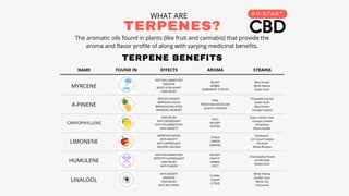 Webinar: Terpenes, Cannabinoids, and Flavonoids