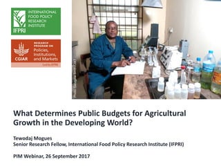 What Determines Public Budgets for Agricultural
Growth in the Developing World?
Tewodaj Mogues
Senior Research Fellow, International Food Policy Research Institute (IFPRI)
PIM Webinar, 26 September 2017
Photo:GeorginaSmith/CIAT
 
