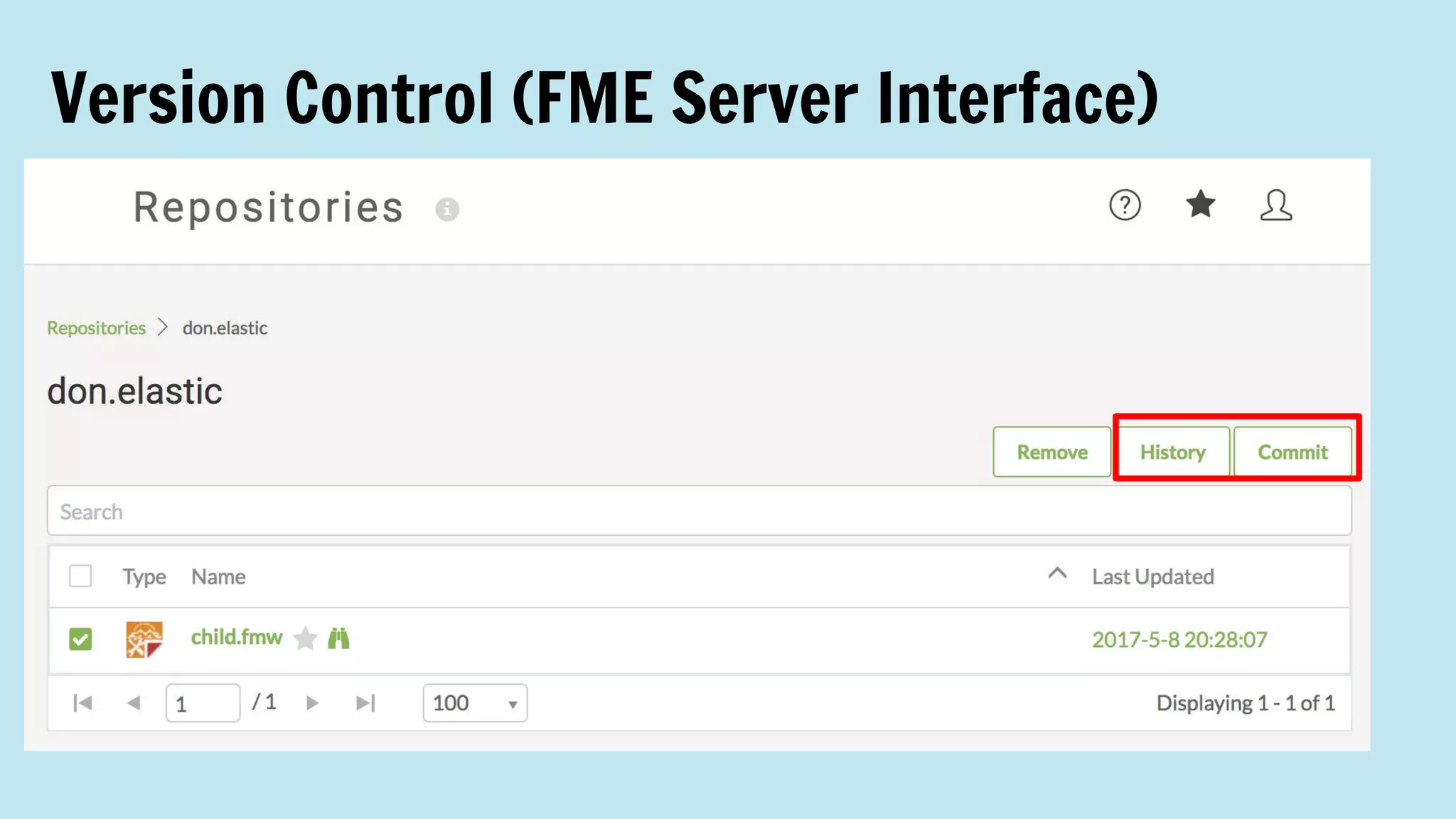 Version Control (FME Server Interface)
 