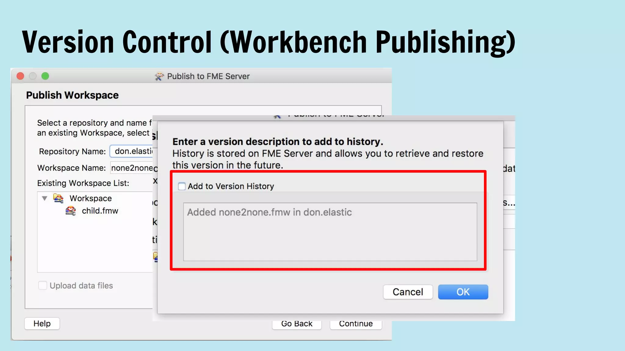 Version Control (Workbench Publishing)
 
