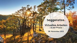 Virtuelles Arbeiten
- in der Praxis -
08. November 2023
 