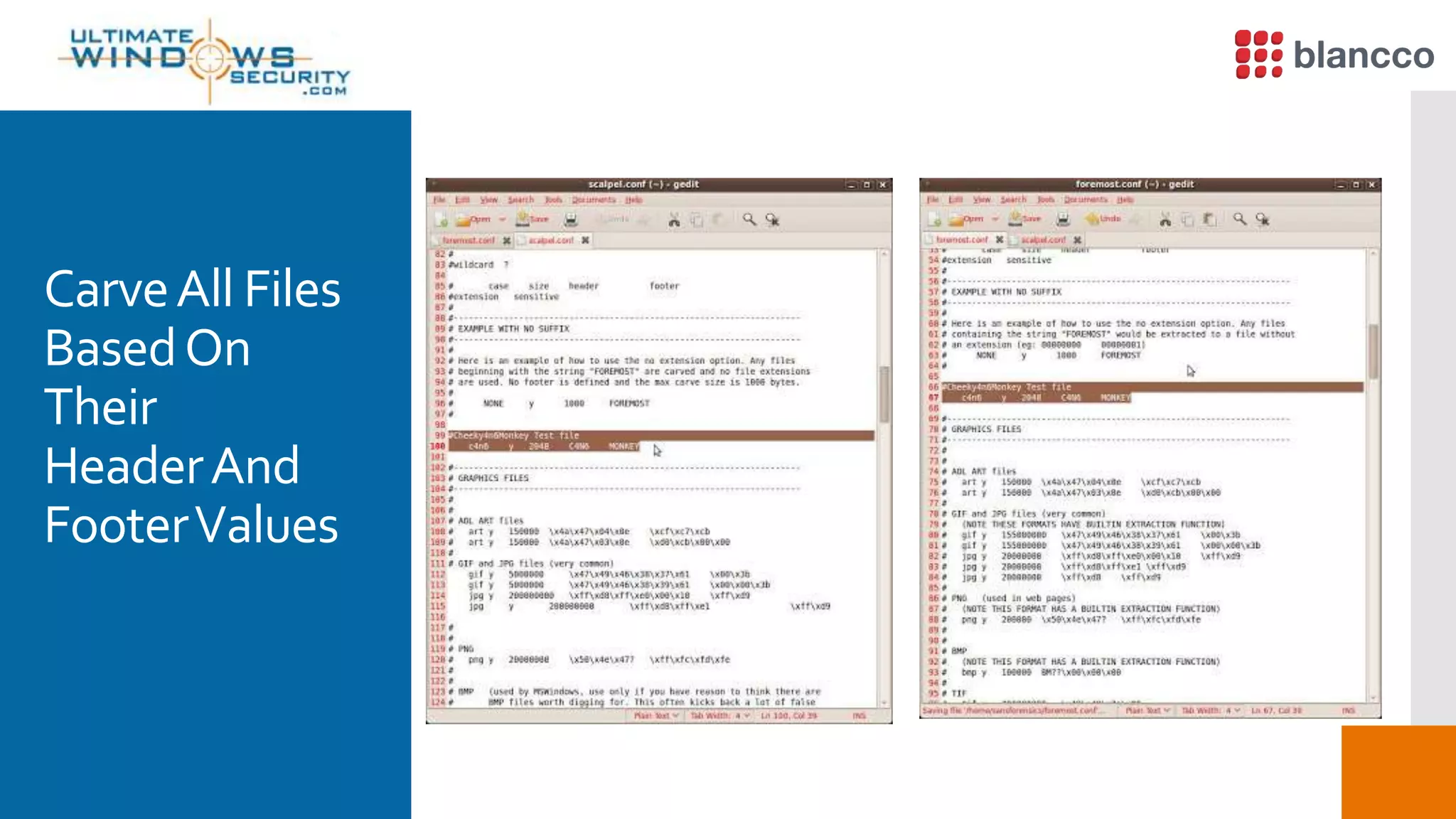 CarveAll Files
BasedOn
Their
HeaderAnd
FooterValues
 