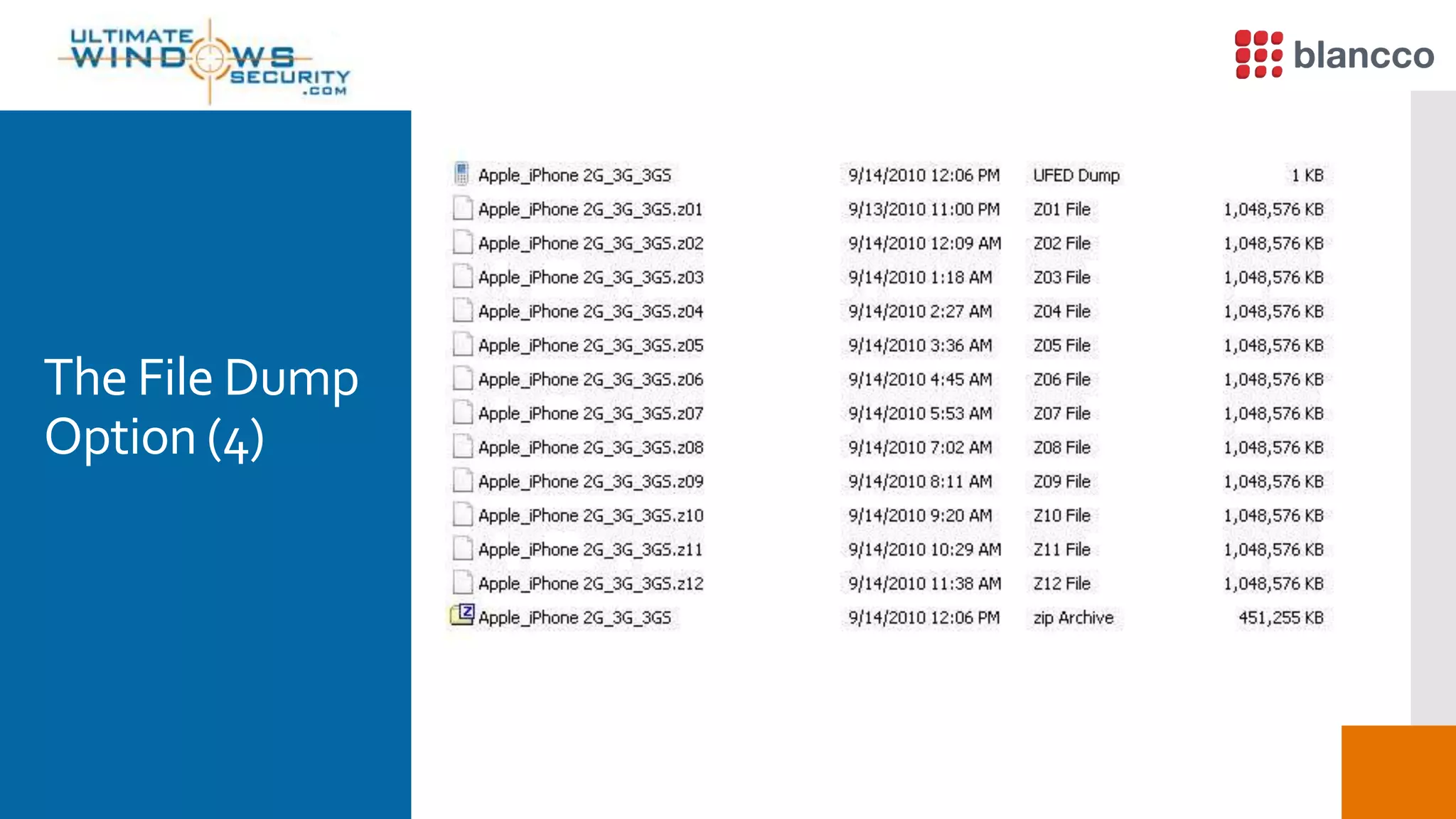 The File Dump
Option (4)
 