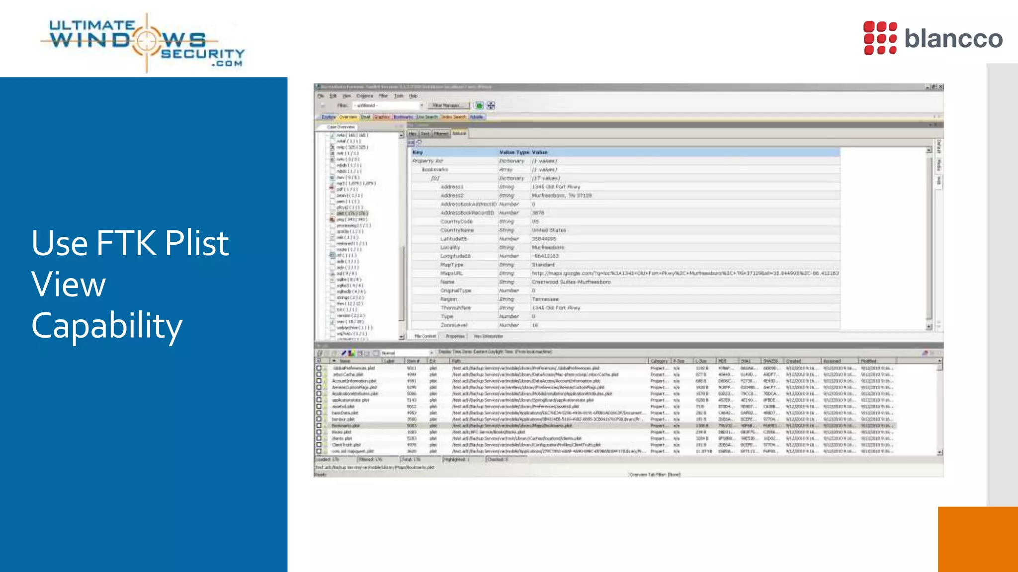 Use FTK Plist
View
Capability
 