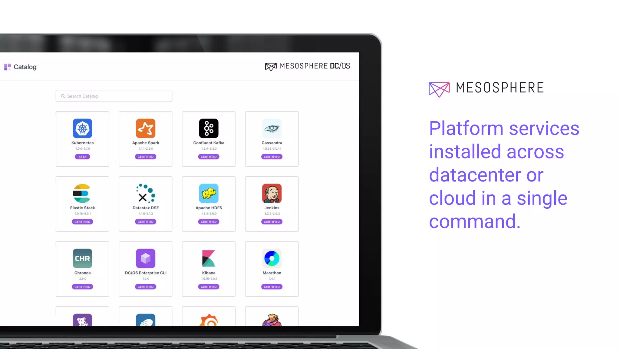 Platform services
installed across
datacenter or
cloud in a single
command.
 