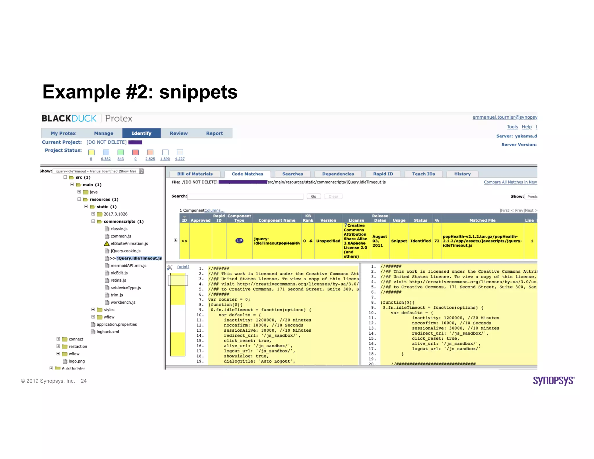 © 2019 Synopsys, Inc. 24
Example #2: snippets
 