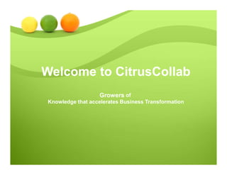 Welcome to CitrusCollab
Growers of
Knowledge that accelerates Business Transformation
 