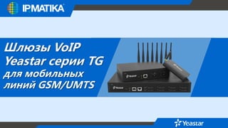 Шлюзы VoIP
Yeastar серии TG
для мобильных
линий GSM/UMTS
 
