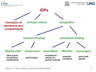 4DZNE e. V. – Structural Biology in Dementia & UMG & MPIBPC
IDPs
entropic chains recognition
transient binding permanent binding
display sites chaperones effectorsassemblers scavengers
sites of post-
translational
modifications
assist folding
modulate the
activity of a
partner molecule
assemble
complexes
store small
ligands
Formation of
membrane-less
compartments
 