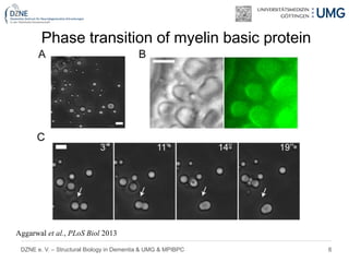 6DZNE e. V. – Structural Biology in Dementia & UMG & MPIBPC
Phase transition of myelin basic protein
Aggarwal et al., PLoS Biol 2013
 