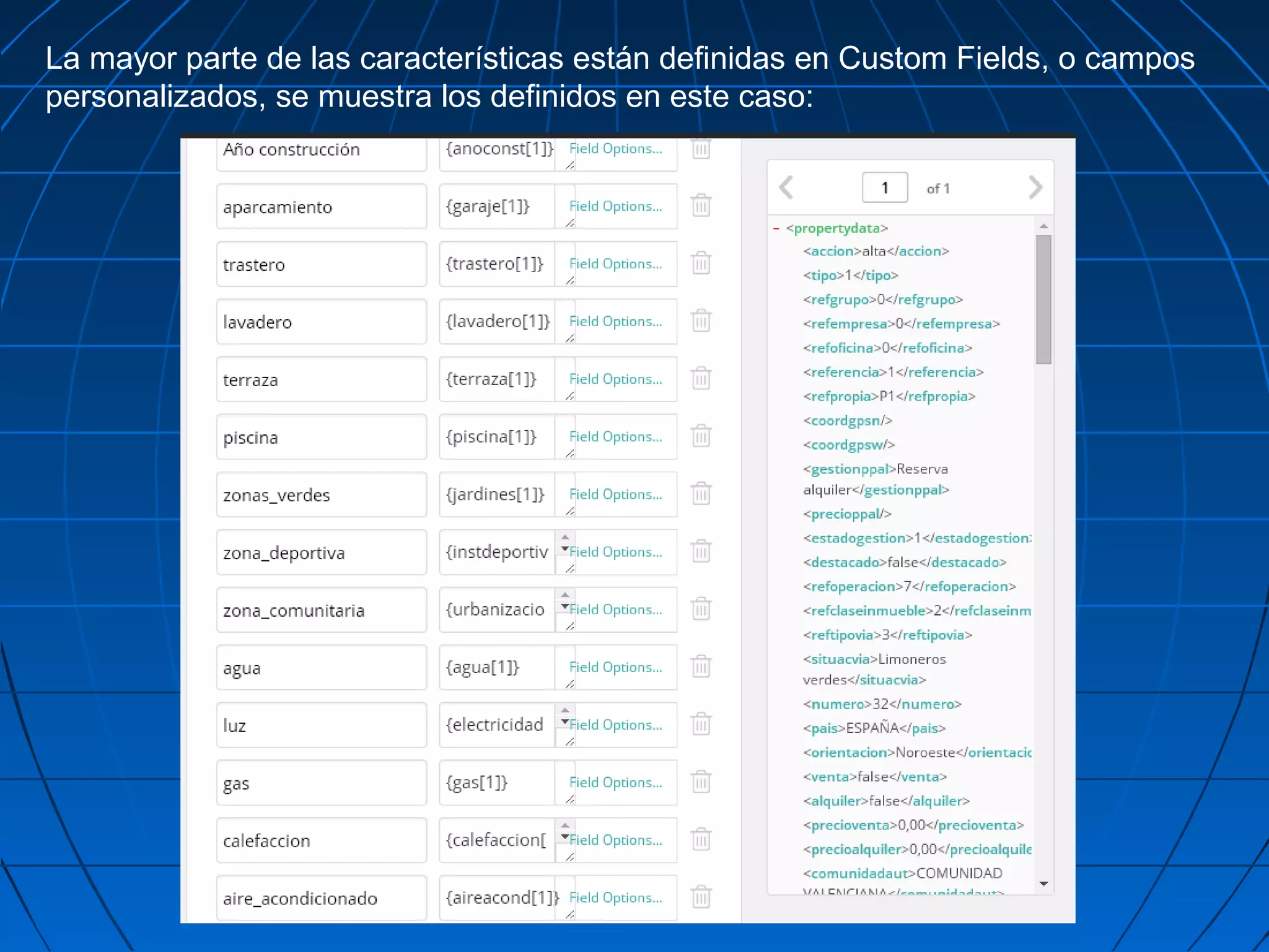La mayor parte de las características están definidas en Custom Fields, o campos
personalizados, se muestra los definidos en este caso:
 