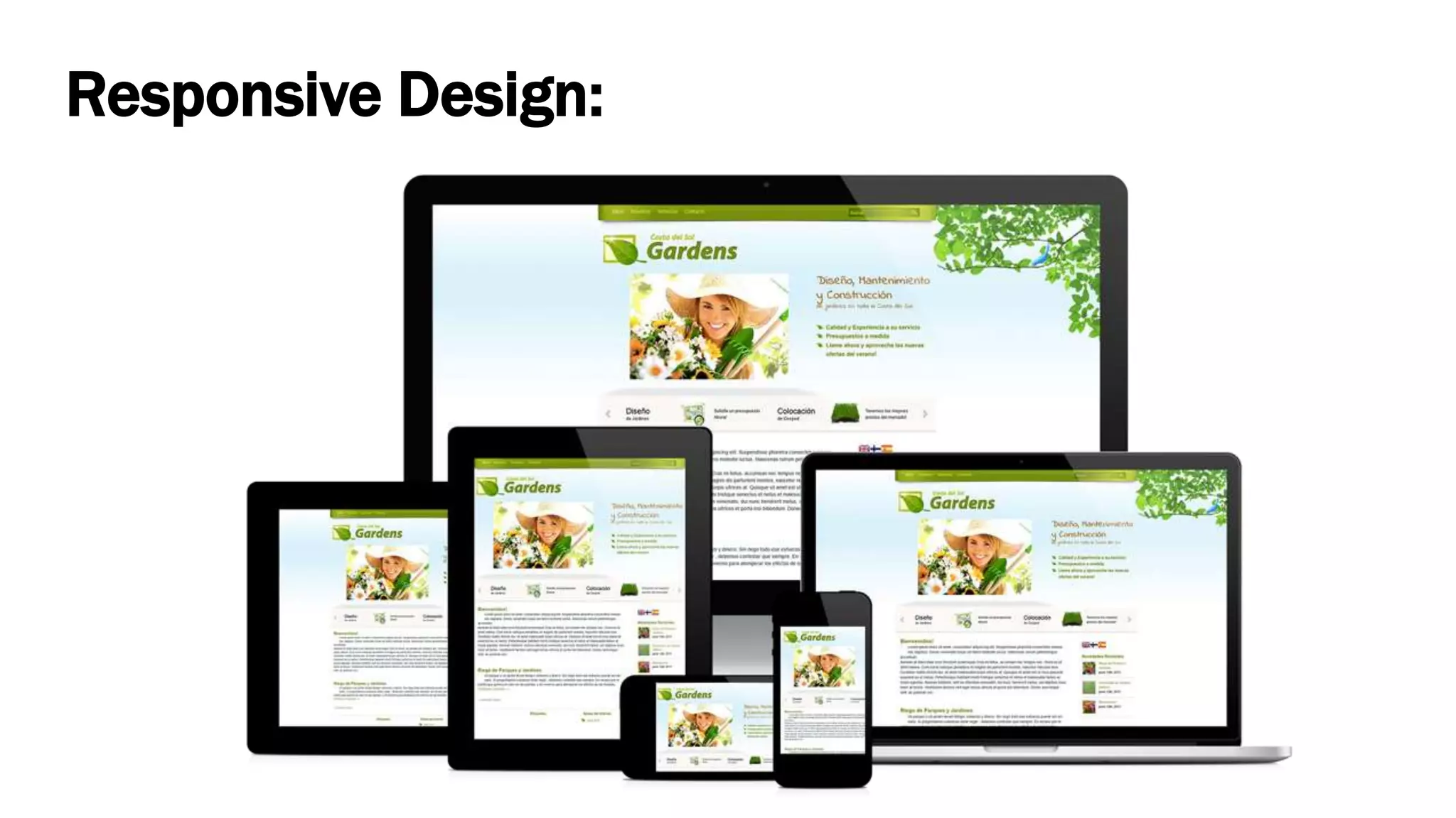 Responsive Design:
 