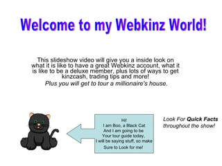 This slideshow video will give you a inside look on what it is like to have a great Webkinz account, what it is like to be a deluxe member, plus lots of ways to get kinzcash, trading tips and more! Plus you will get to tour a millionaire's house. Hi! I am Boo, a Black Cat And I am going to be  Your tour guide today,  I will be saying stuff, so make Sure to Look for me!   Welcome to my Webkinz World! Look For  Quick Facts  throughout the show!  