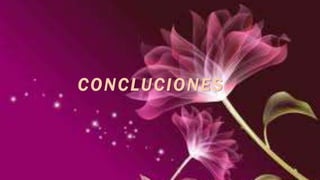 CONCLUCIONES 
 