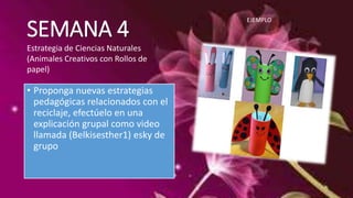 SEMANA 4 
Estrategia de Ciencias Naturales 
(Animales Creativos con Rollos de 
papel) 
• Proponga nuevas estrategias 
pedagógicas relacionados con el 
reciclaje, efectúelo en una 
explicación grupal como video 
llamada (Belkisesther1) esky de 
grupo 
EJEMPLO 
 