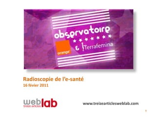 Radioscopie de l’e-santé
16 févier 2011



                       www.treizearticlesweblab.com
                                                      1
 