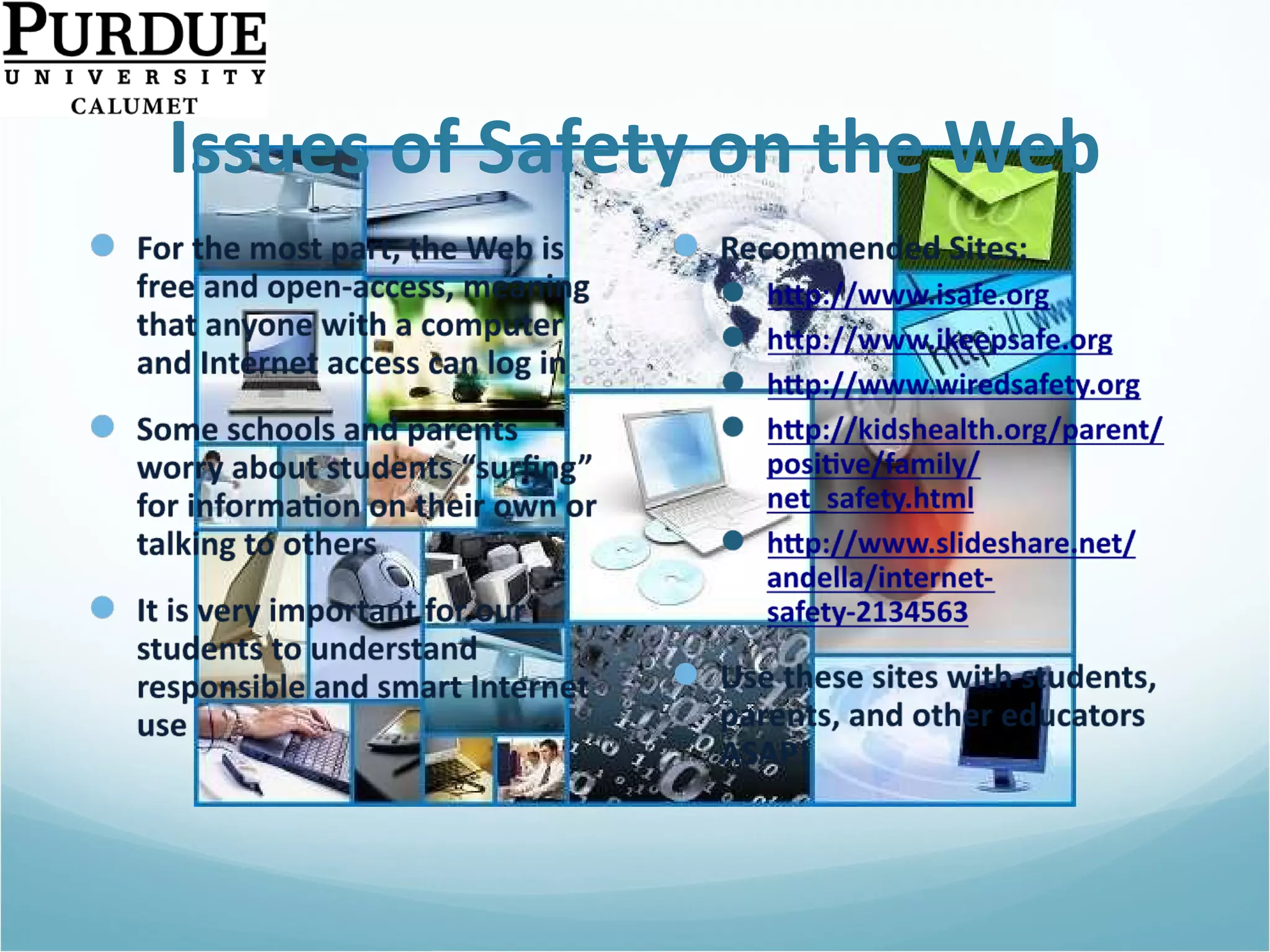 Issues of Safety on the Web 