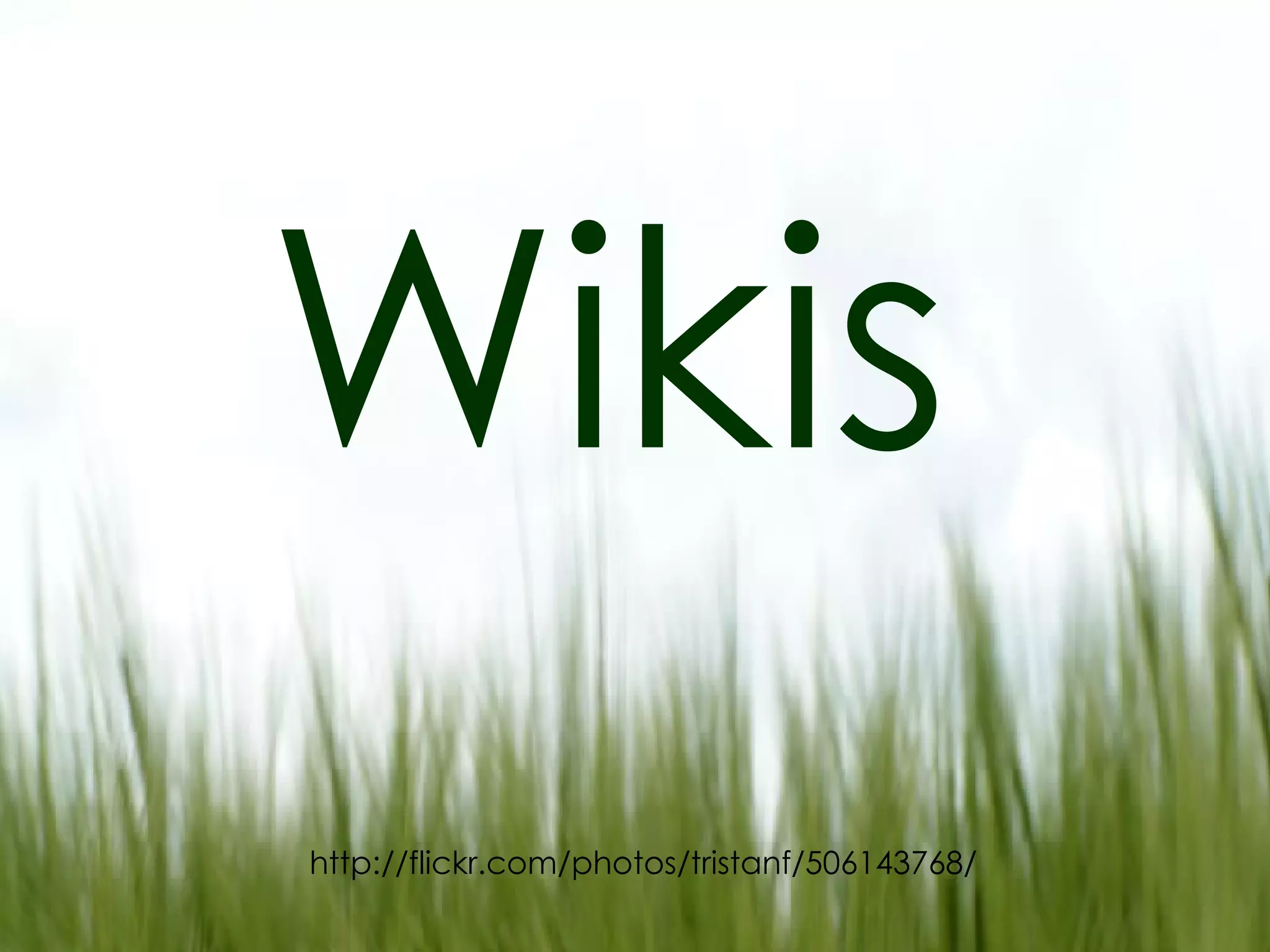 Wikis http://flickr.com/photos/tristanf/506143768/