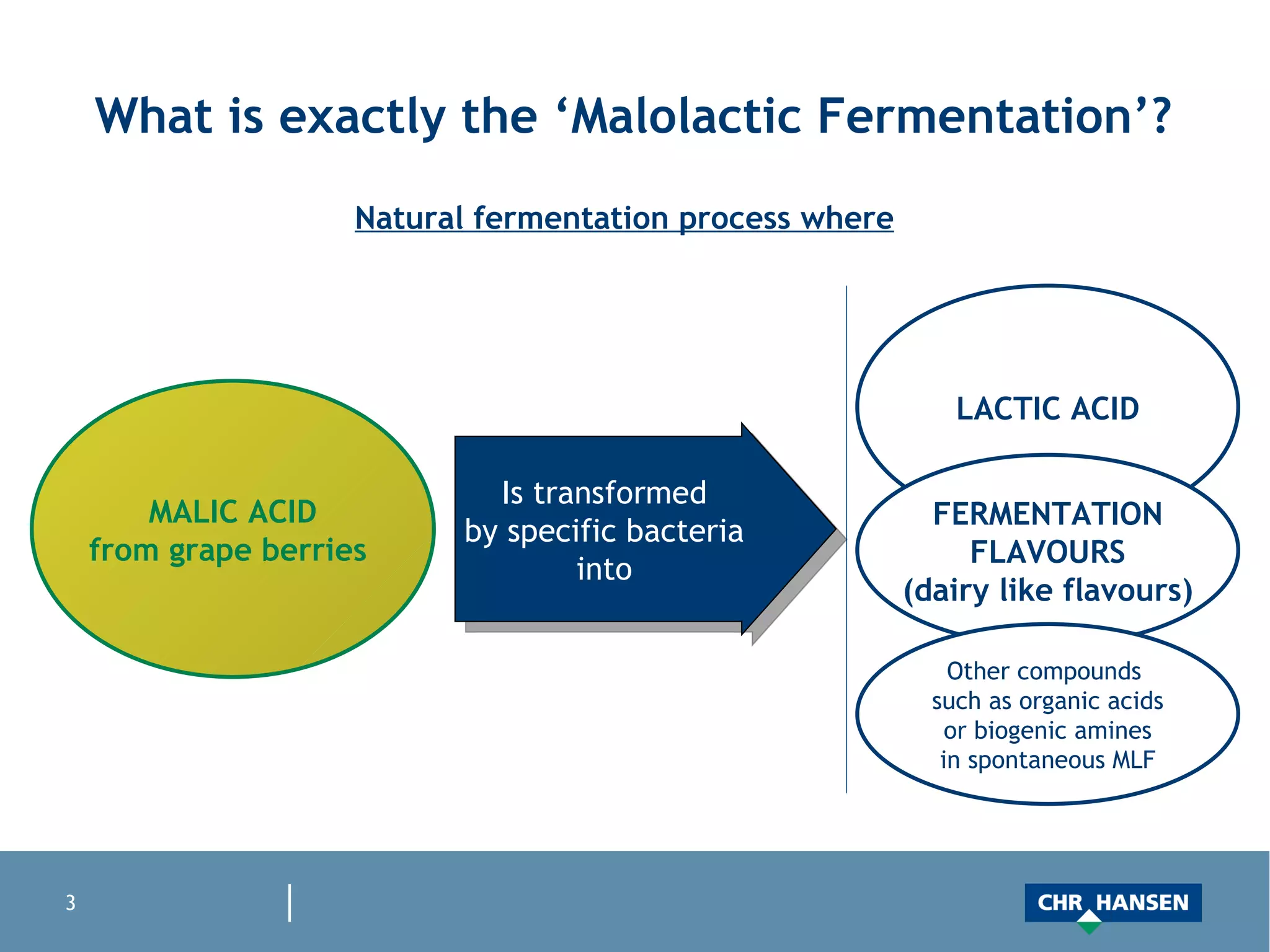 What is exactly the ‘Malolactic Fermentation’? MALIC ACID from grape berries  Is transformed by specific bacteria into Natural fermentation process where LACTIC ACID FERMENTATION FLAVOURS (dairy like flavours) Other compounds  such as organic acids or biogenic amines in spontaneous MLF 