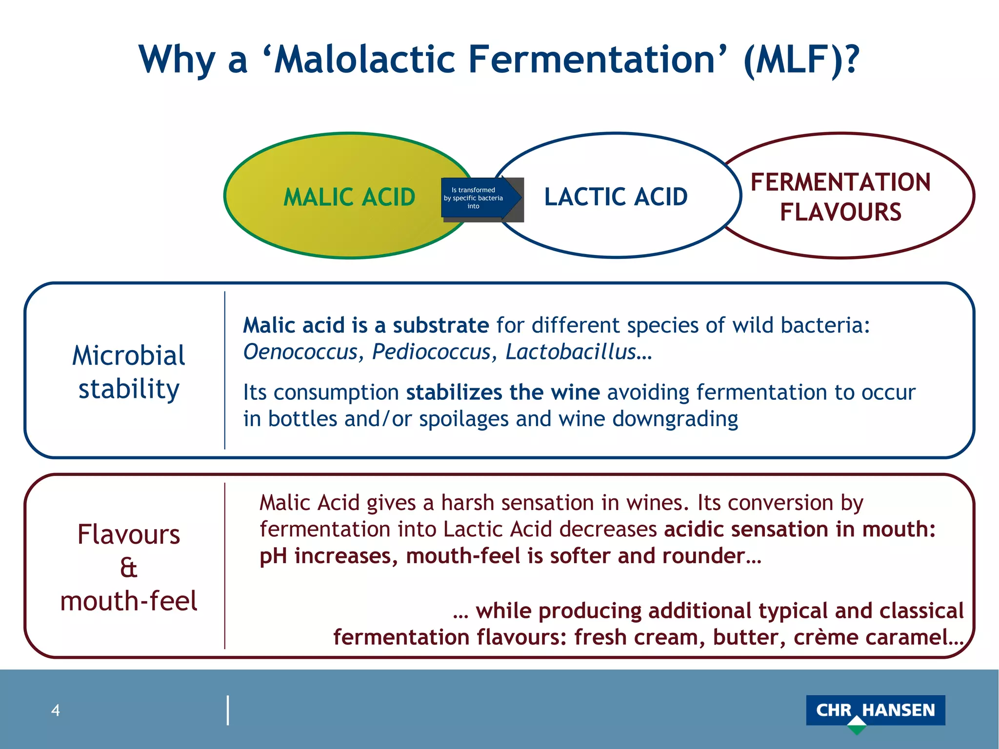 Why a ‘Malolactic Fermentation’ (MLF)? Malic acid is a substrate  for different species of wild bacteria:  Oenococcus, Pediococcus, Lactobacillus … Its consumption  stabilizes the wine  avoiding fermentation to occur in bottles and/or spoilages and wine downgrading Malic Acid gives a harsh sensation in wines. Its conversion by fermentation into Lactic Acid decreases  acidic sensation in mouth:   pH increases,   mouth-feel is softer and rounder… …  while producing additional typical and classical fermentation flavours: fresh cream, butter, crème caramel… MALIC ACID FERMENTATION FLAVOURS LACTIC ACID Microbial stability Flavours & mouth-feel 