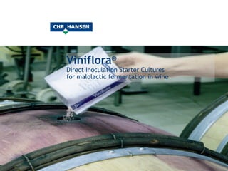 Viniflora ® Direct Inoculation Starter Cultures  for malolactic fermentation in wine 