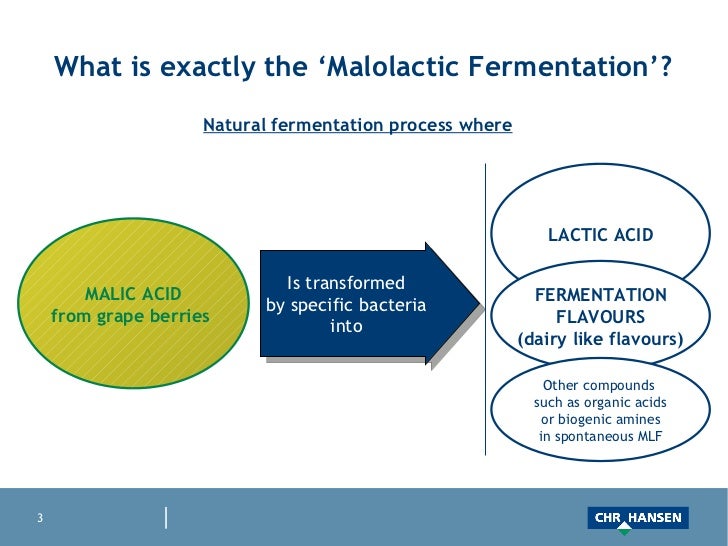  malolactic fermentation management with viniflora