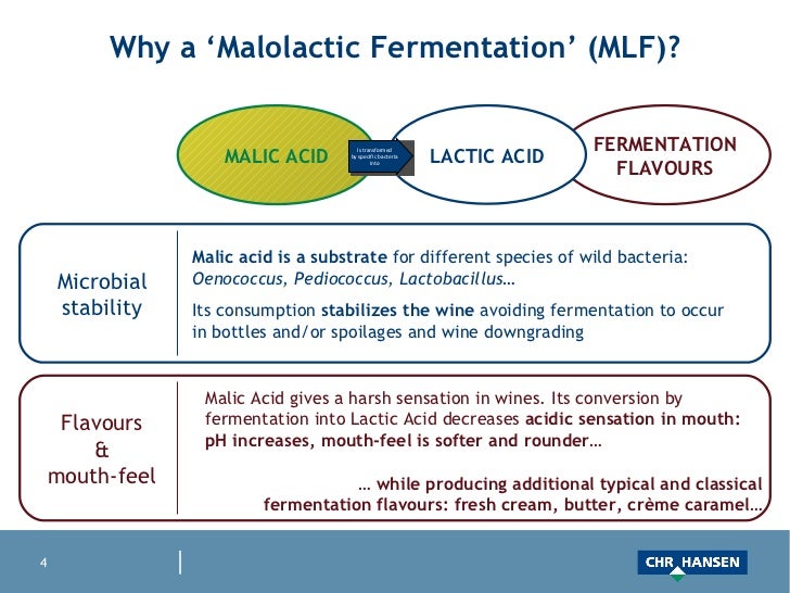  malolactic fermentation management with viniflora