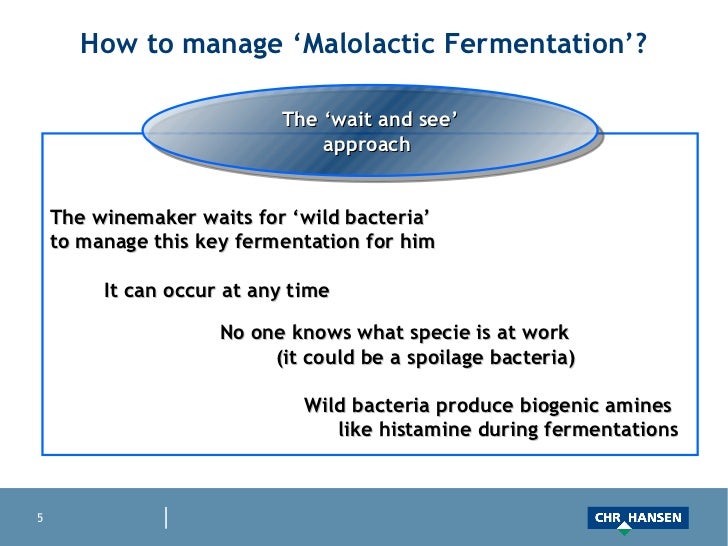  malolactic fermentation management with viniflora