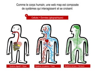 Comme le corps humain, une web map est composée
de systèmes qui interagissent et se croisent
Cellules = Données (géographiques)
Système digestif = Styles Système circulatoire = Tuiles
O
Système nerveux = Serveurs
 