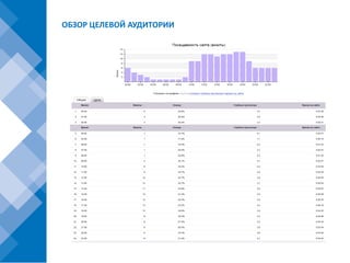 ОБЗОР ЦЕЛЕВОЙ АУДИТОРИИ
 