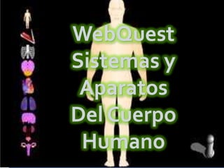 WebQuest
Sistemas y
 Aparatos
Del Cuerpo
 Humano
 