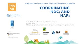 Integración de la agricultura en los Planes nacionales de adaptación
COORDINATING
NDCS AND
NAPS
CECILIA JONES – National Coordinator – Uruguay
Nov, 20th, 2018
Addressing agricultural resilience in long term climate planning instruments
 
