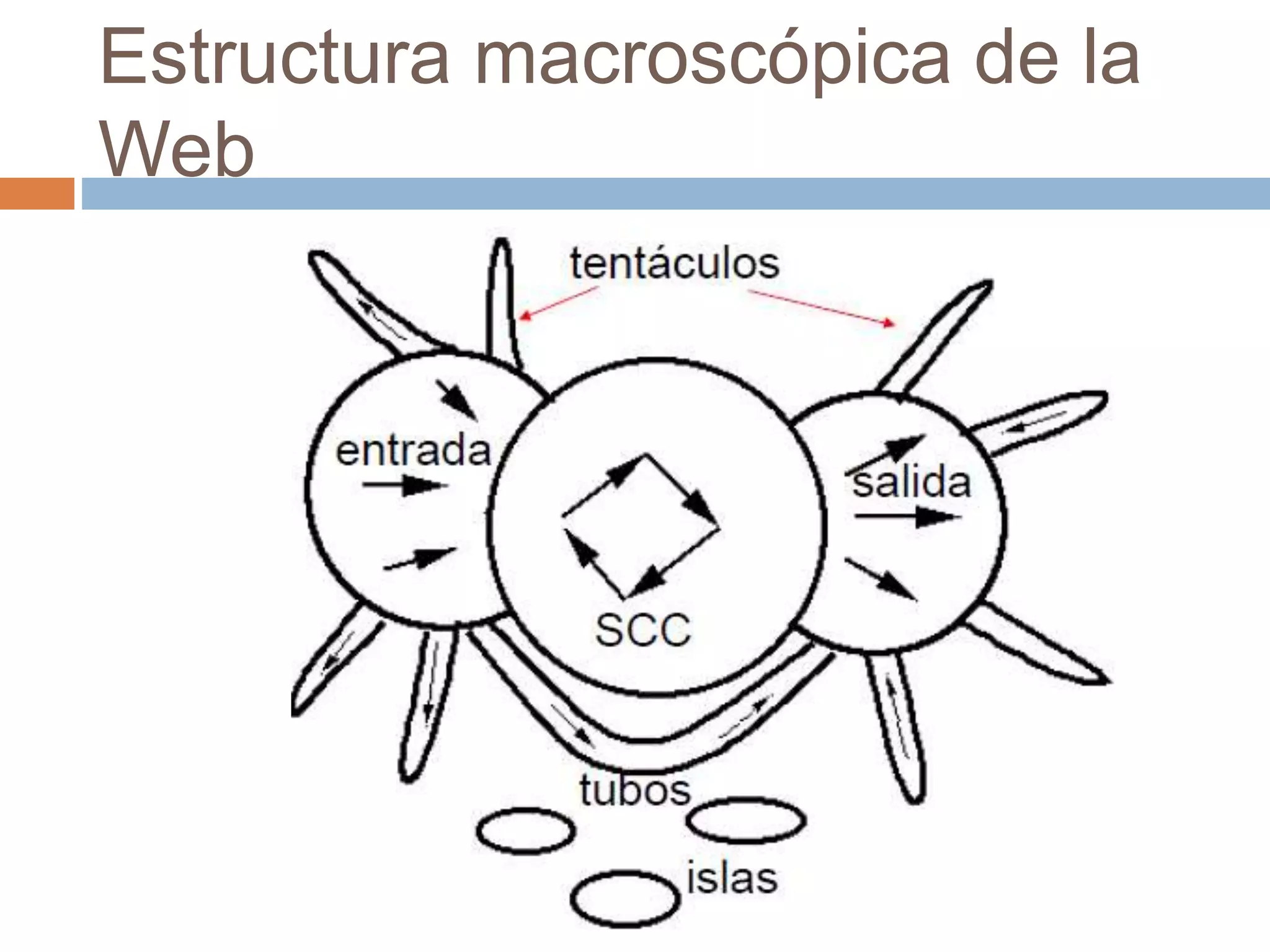 Estructura macroscópica de la
Web
 