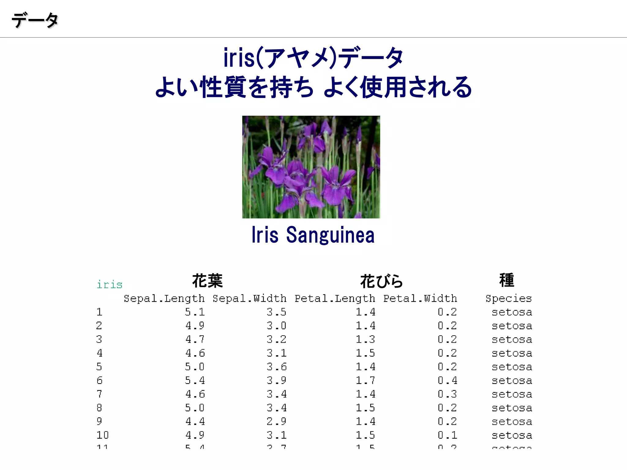 データ

         iris(アヤメ)データ
      よい性質を持ち よく使用される




            Iris Sanguinea

       花葉               花びら   種
 