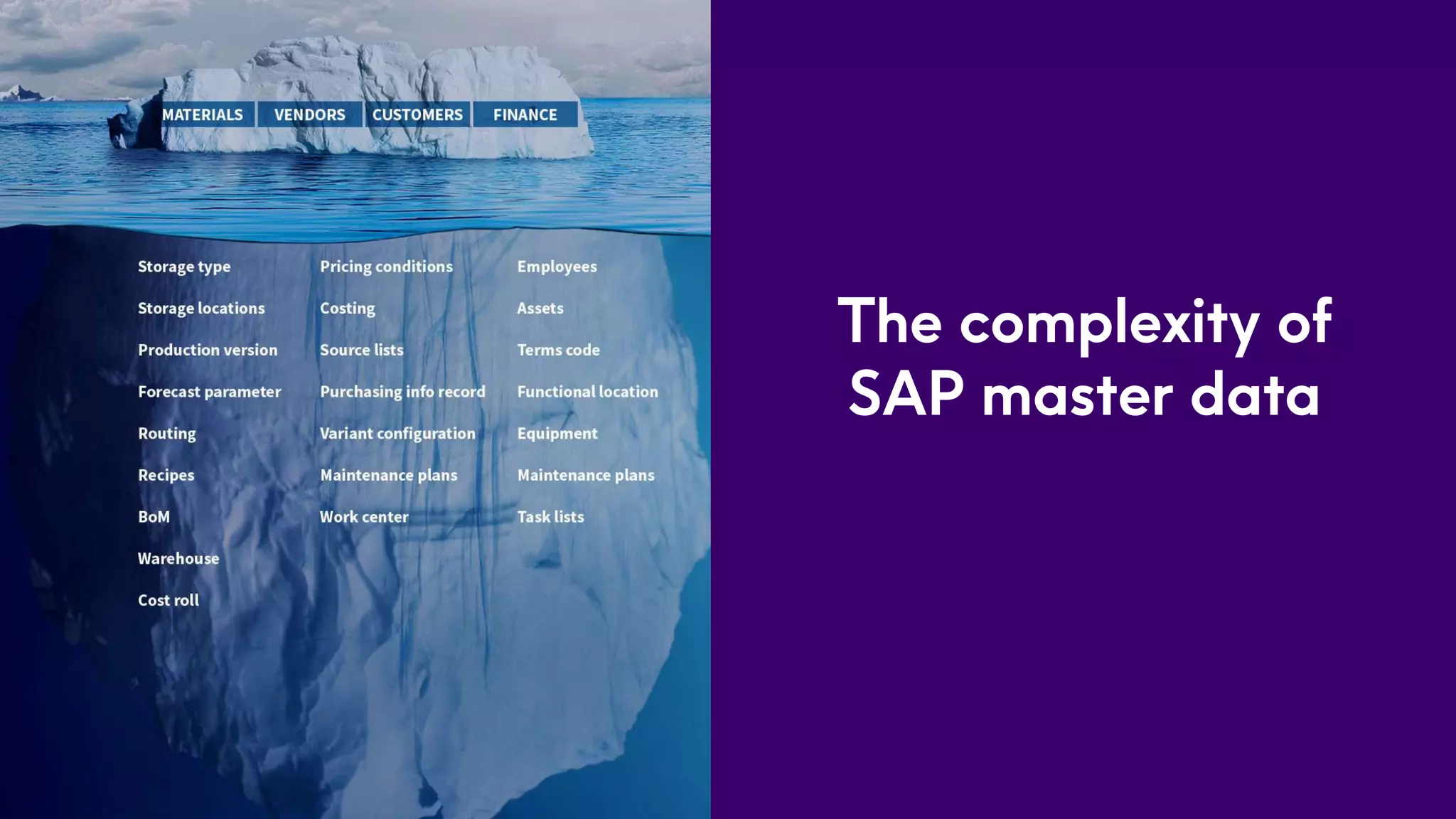 The complexity of
SAP master data
 
