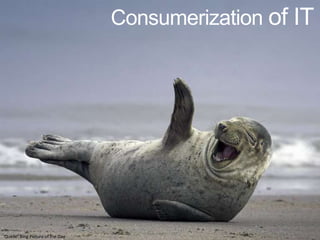 Quelle: Bing Picture of the Day
 