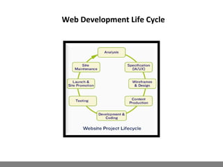 Web Development Life Cycle
 