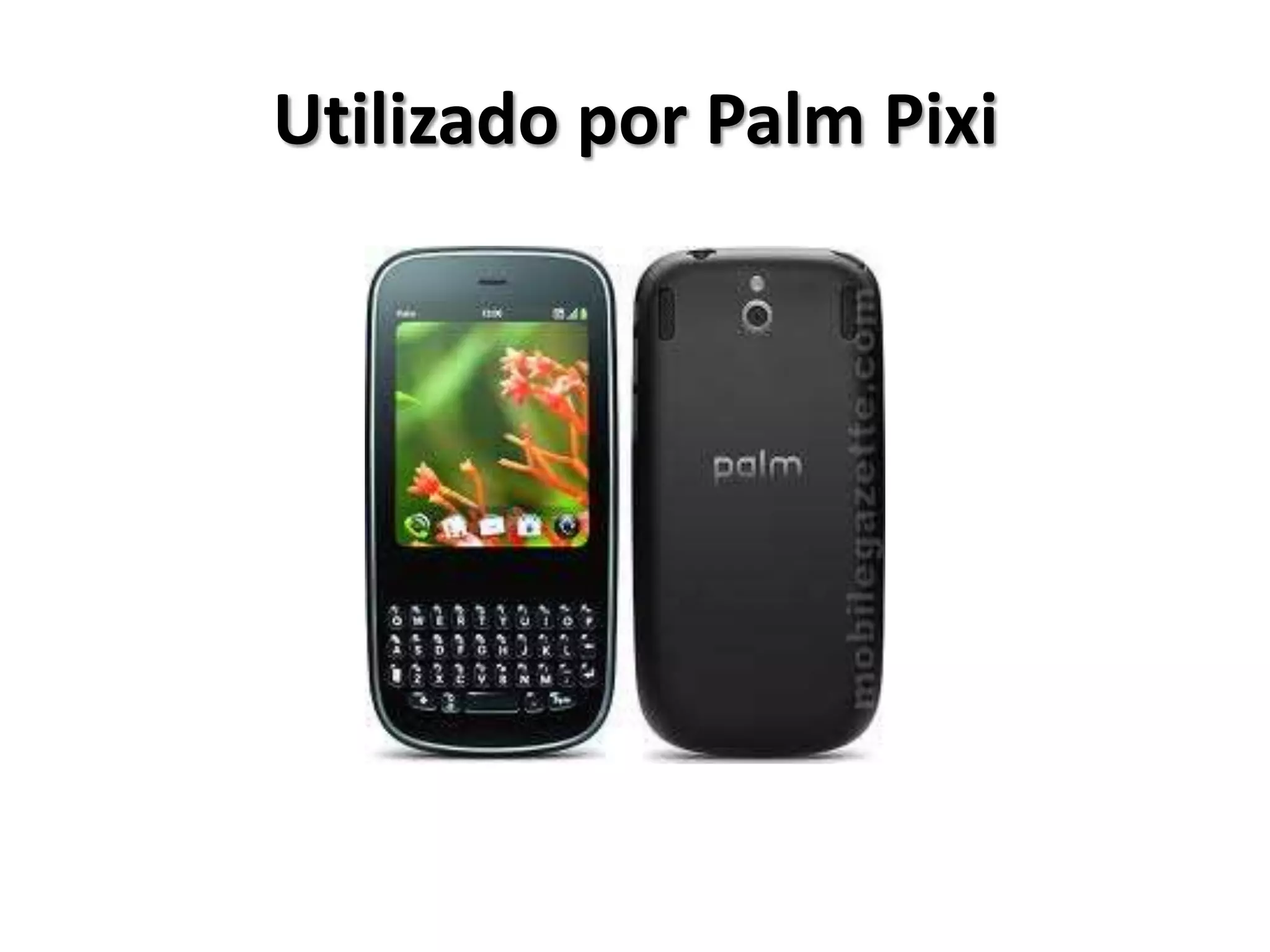 Utilizado por Palm Pixi