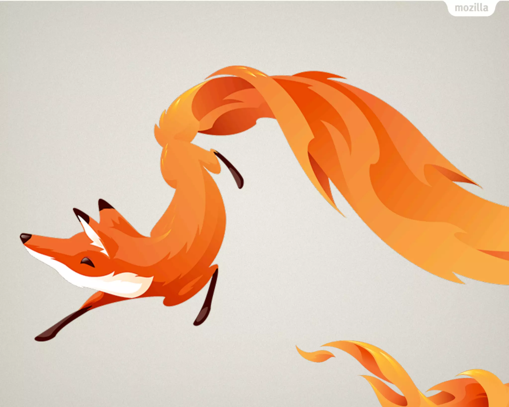 Web is the OS (Firefox OS)