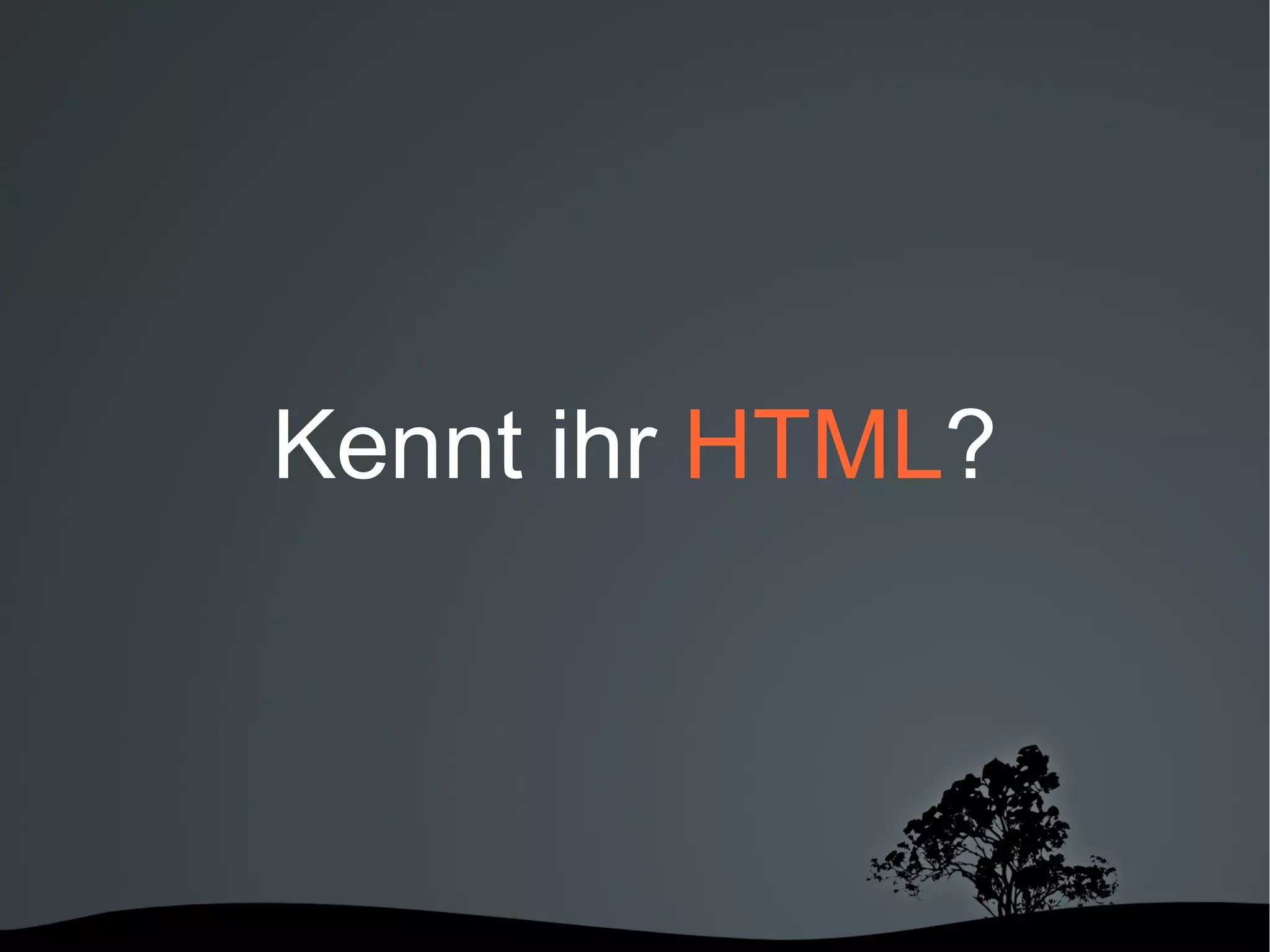 Web und Mobile Entwickler 