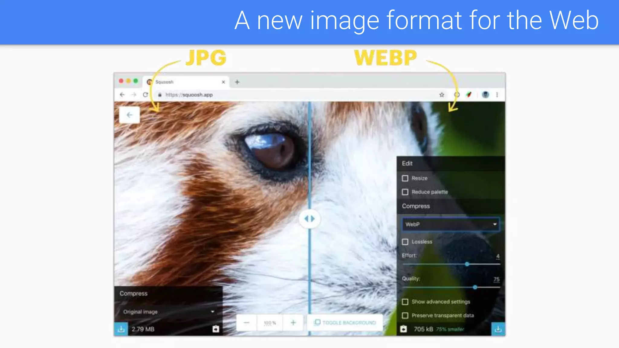 A new image format for the Web
 