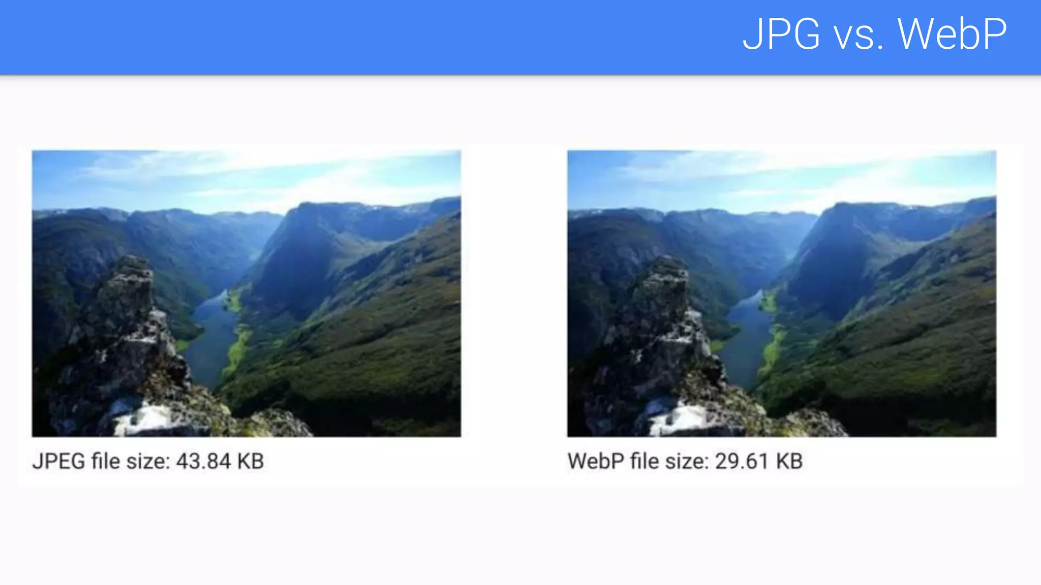 JPG vs. WebP
 
