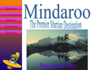 Start Page 
Mindaroo 
Accommodation 
History 
Attractions 
The Face 
 