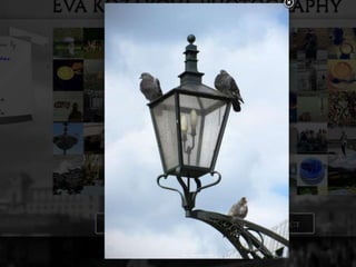 Webpage Eva Kozakova photography