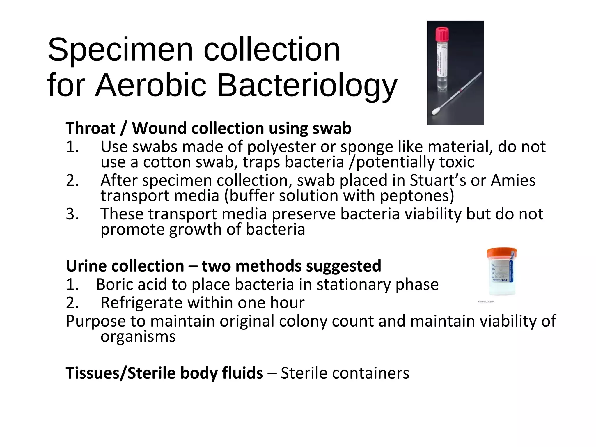 Specimen collection
for Aerobic Bacteriology
Throat / Wound collection using swab
1. Use swabs made of polyester or sponge like material, do not
use a cotton swab, traps bacteria /potentially toxic
2. After specimen collection, swab placed in Stuart’s or Amies
transport media (buffer solution with peptones)
3. These transport media preserve bacteria viability but do not
promote growth of bacteria
Urine collection – two methods suggested
1. Boric acid to place bacteria in stationary phase
2. Refrigerate within one hour
Purpose to maintain original colony count and maintain viability of
organisms
Tissues/Sterile body fluids – Sterile containers
 