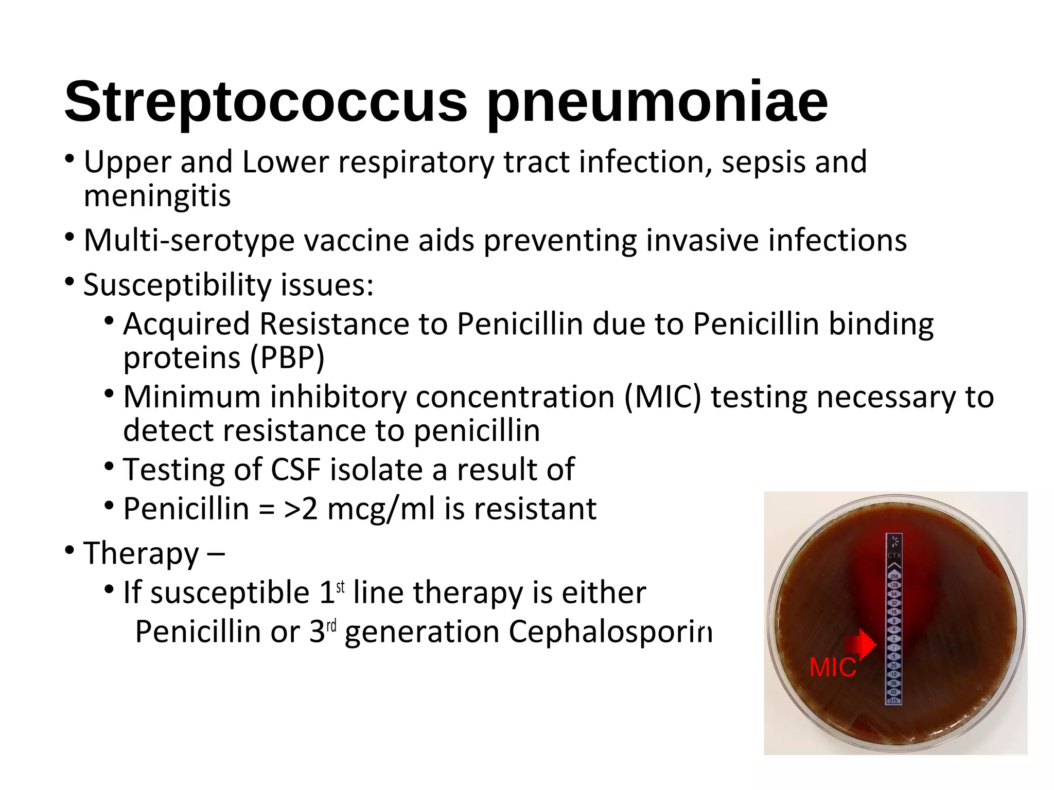 Streptococcus pneumoniae
• Upper and Lower respiratory tract infection, sepsis and
meningitis
• Multi-serotype vaccine aids preventing invasive infections
• Susceptibility issues:
• Acquired Resistance to Penicillin due to Penicillin binding
proteins (PBP)
• Minimum inhibitory concentration (MIC) testing necessary to
detect resistance to penicillin
• Testing of CSF isolate a result of
• Penicillin = >2 mcg/ml is resistant
• Therapy –
• If susceptible 1st
line therapy is either
Penicillin or 3rd
generation CephalosporinMIC
MIC
 