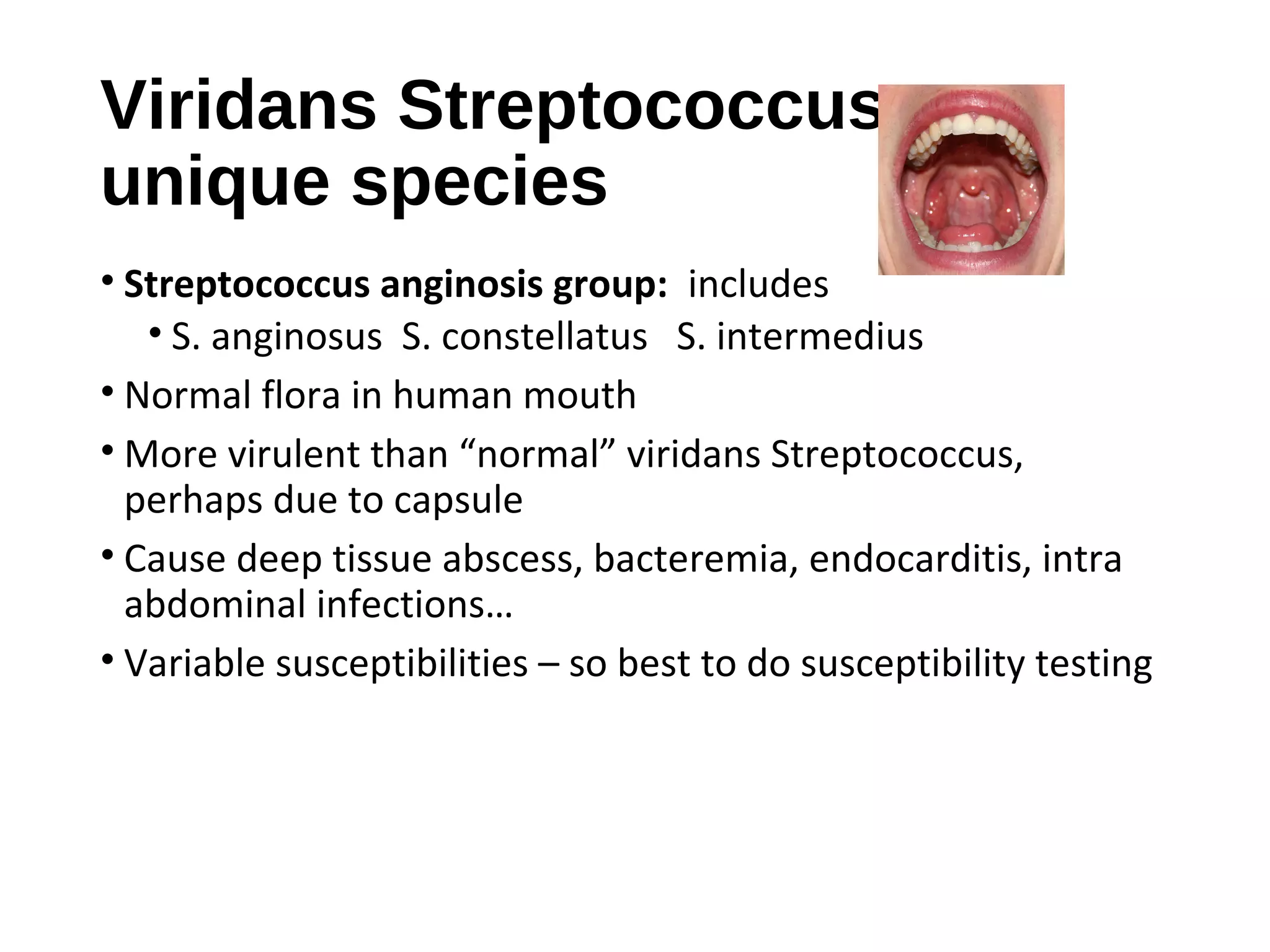 Viridans Streptococcus
unique species
• Streptococcus anginosis group: includes
• S. anginosus S. constellatus S. intermedius
• Normal flora in human mouth
• More virulent than “normal” viridans Streptococcus,
perhaps due to capsule
• Cause deep tissue abscess, bacteremia, endocarditis, intra
abdominal infections…
• Variable susceptibilities – so best to do susceptibility testing
 