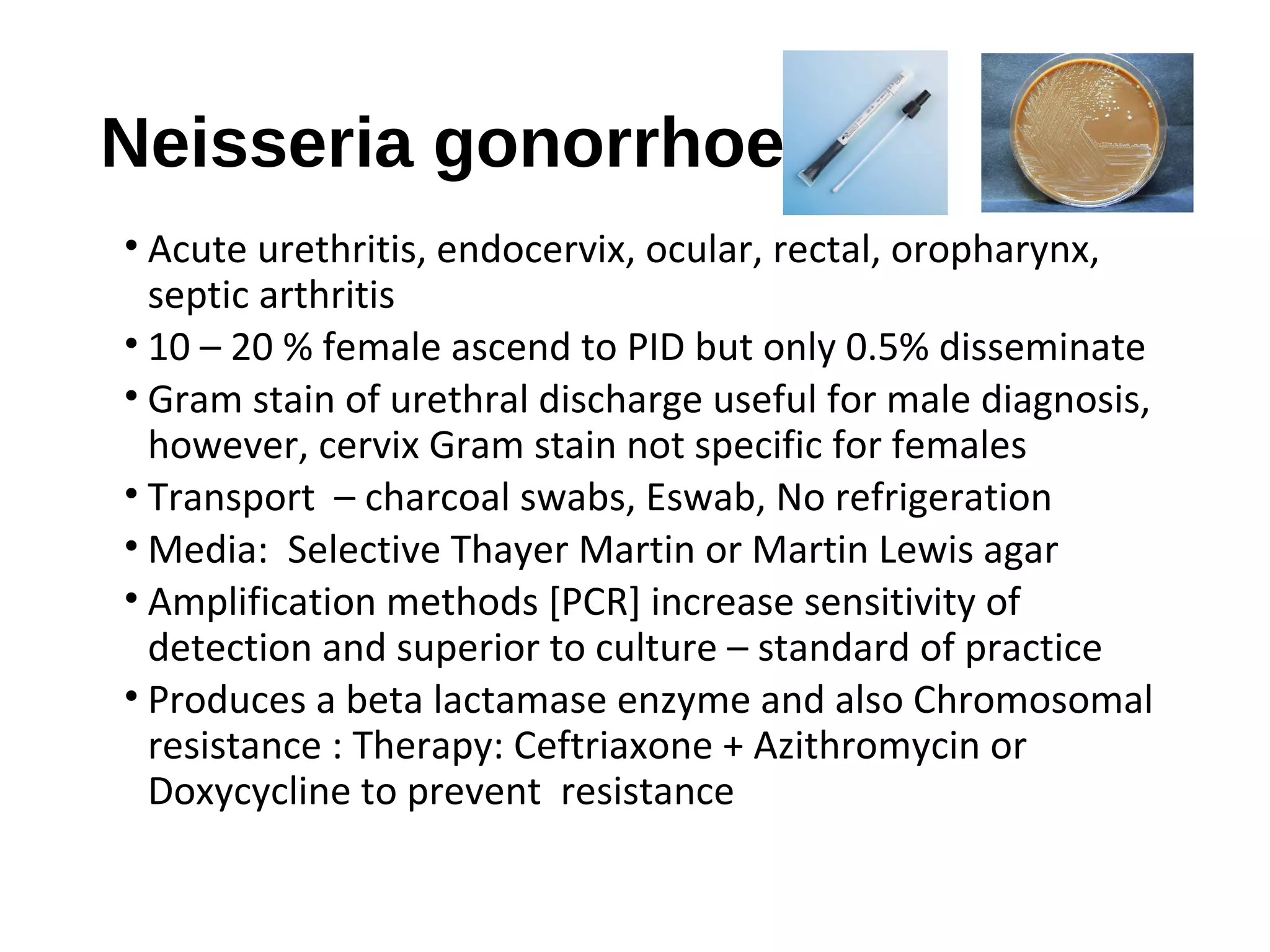 Neisseria gonorrhoeae
• Acute urethritis, endocervix, ocular, rectal, oropharynx,
septic arthritis
• 10 – 20 % female ascend to PID but only 0.5% disseminate
• Gram stain of urethral discharge useful for male diagnosis,
however, cervix Gram stain not specific for females
• Transport – charcoal swabs, Eswab, No refrigeration
• Media: Selective Thayer Martin or Martin Lewis agar
• Amplification methods [PCR] increase sensitivity of
detection and superior to culture – standard of practice
• Produces a beta lactamase enzyme and also Chromosomal
resistance : Therapy: Ceftriaxone + Azithromycin or
Doxycycline to prevent resistance
 