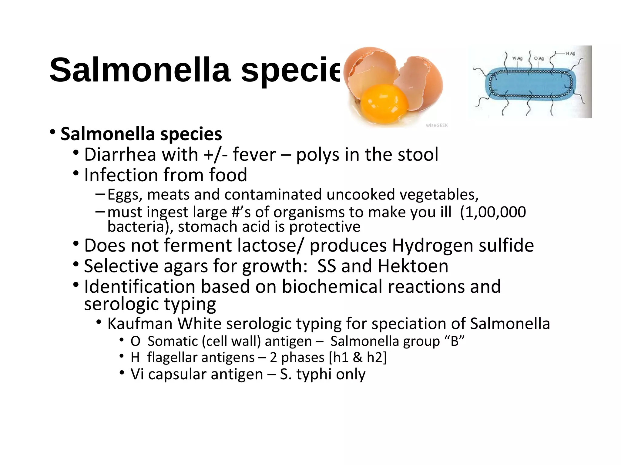 Salmonella species
• Salmonella species
• Diarrhea with +/- fever – polys in the stool
• Infection from food
–Eggs, meats and contaminated uncooked vegetables,
–must ingest large #’s of organisms to make you ill (1,00,000
bacteria), stomach acid is protective
• Does not ferment lactose/ produces Hydrogen sulfide
• Selective agars for growth: SS and Hektoen
• Identification based on biochemical reactions and
serologic typing
• Kaufman White serologic typing for speciation of Salmonella
• O Somatic (cell wall) antigen – Salmonella group “B”
• H flagellar antigens – 2 phases [h1 & h2]
• Vi capsular antigen – S. typhi only
 